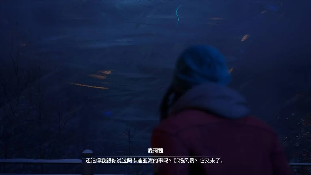 奇异人生：双重曝光 截图 2